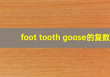 foot tooth goose的复数